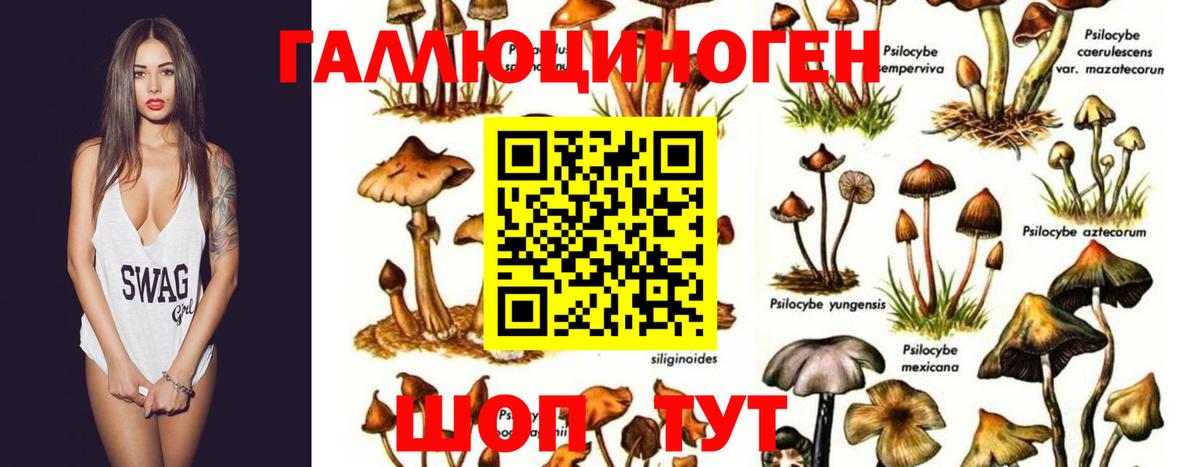 Кохма  МАРИХУАНА  Мефедрон кристаллы  Вход с VPN  ГАШИШ  COCAIN 
