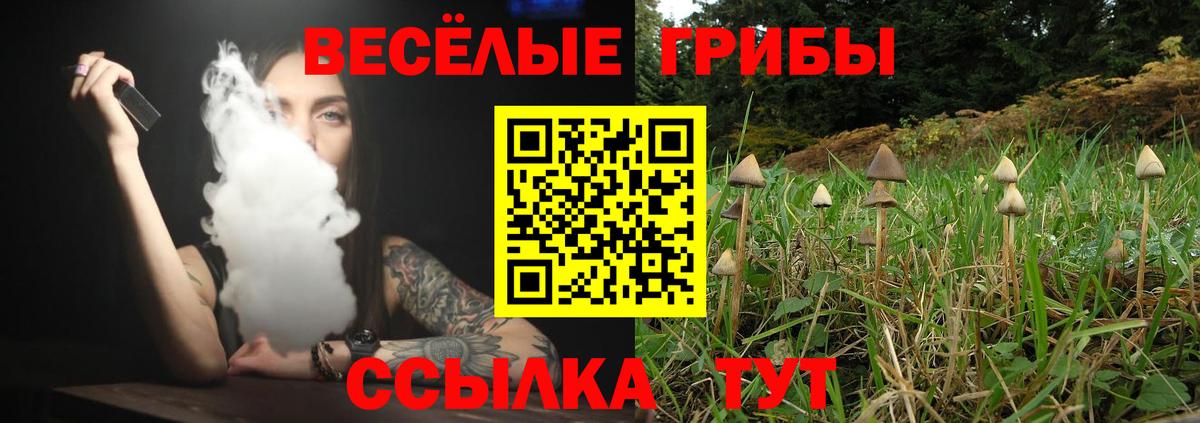 Кохма  Псилоцибиновые грибы прущие грибы  Вход с VPN 